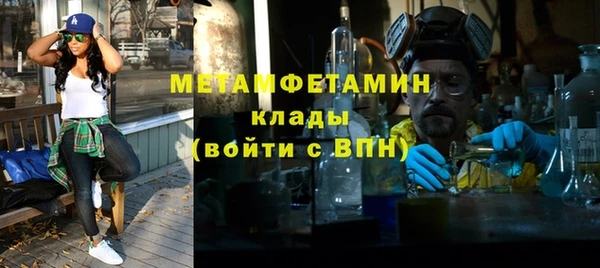 мет Алексин